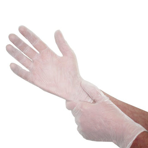 Vinyl Gloves Powder Free Economy (Carton of 20 Boxes)